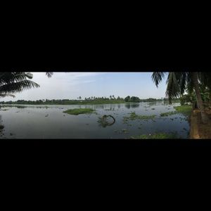 Meet your Posher, Aaron